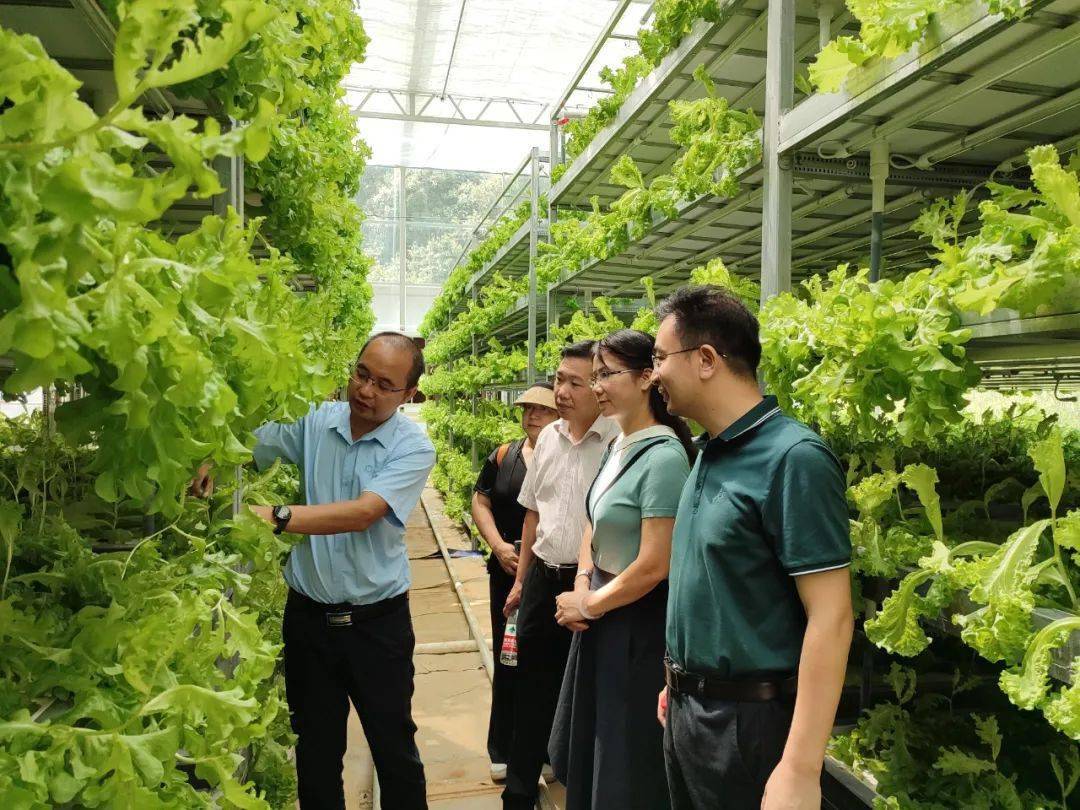 正式揭牌!美食流与华中农业大学成立研究生联合培养实践基地